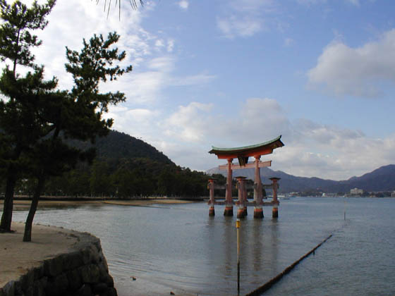 kmiyajima3