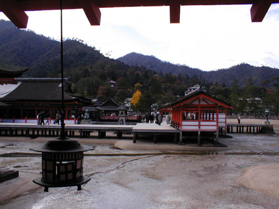 kmiyajima5